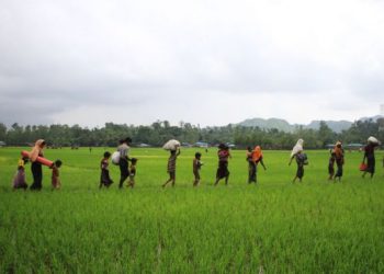 _97655485_gettyimages-842146910