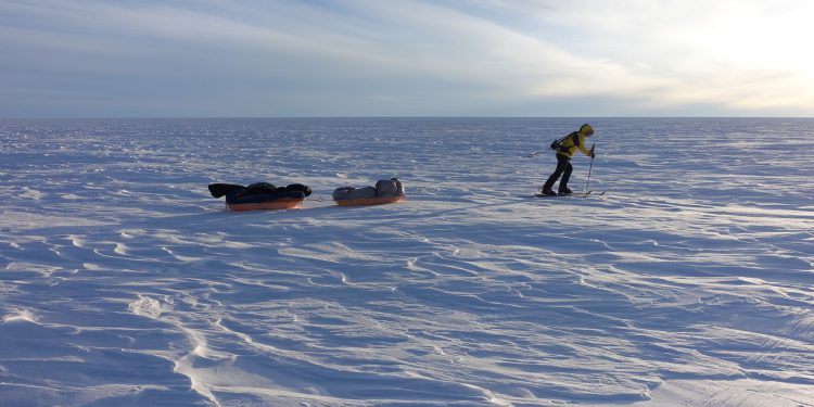 hauling sleds in greenland