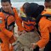 Dozens of turtles saved post Indonesian tsunami