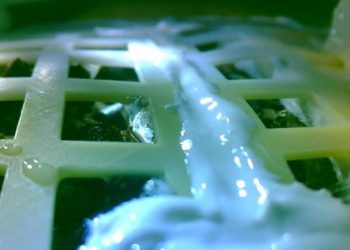 China grows first ever plant on Moon