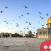 Jerusalem featured