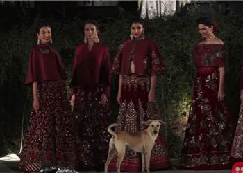 Stray dog crashes fashion show in India, upstages models