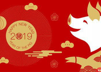 Chinese community worldwide celebrates Year of the Pig