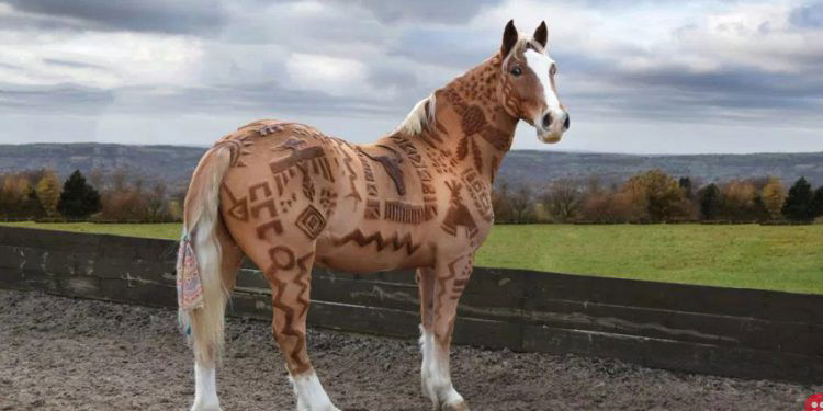 UK woman creates stunning artwork on horses