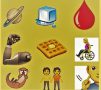 New more inclusive emojis set to debut in 2019