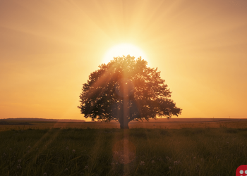 Hack into mindfulness by practicing these 5 types of meditation