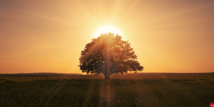 Hack into mindfulness by practicing these 5 types of meditation