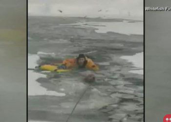 Montana firefighters rescue dog from icy river