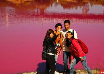 Melbourne Lake Turns Pink!