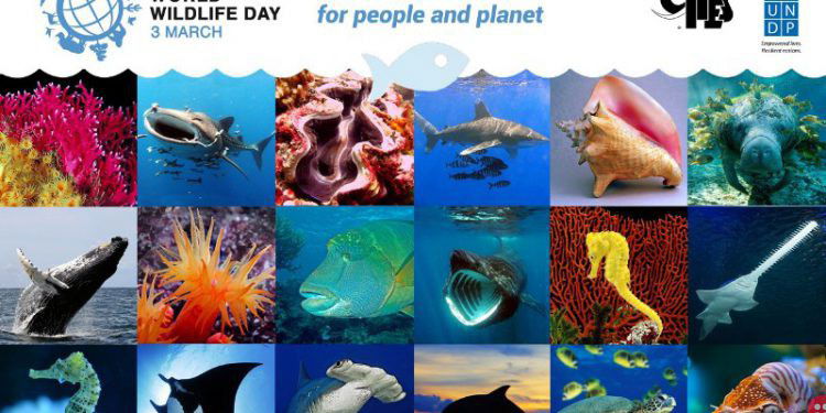 3 March is World Wildlife Day