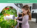 An all-weather garden is coming soon inside your kitchen