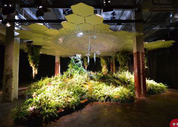 World’s First Underground Park to Come Up in New York Soon