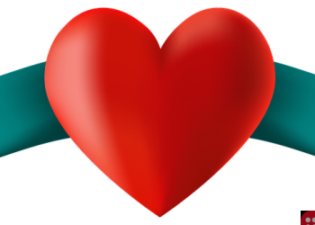 India’s Youngest Organ Donor, A Two-Year-Old Boy