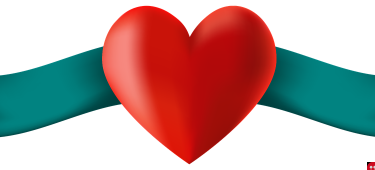 India’s Youngest Organ Donor, A Two-Year-Old Boy