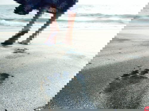 Story of India’s First Soon-to-be Carbon-Positive Village