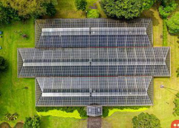 Puerto Rico’s Unique Story of Fighting Power Crisis