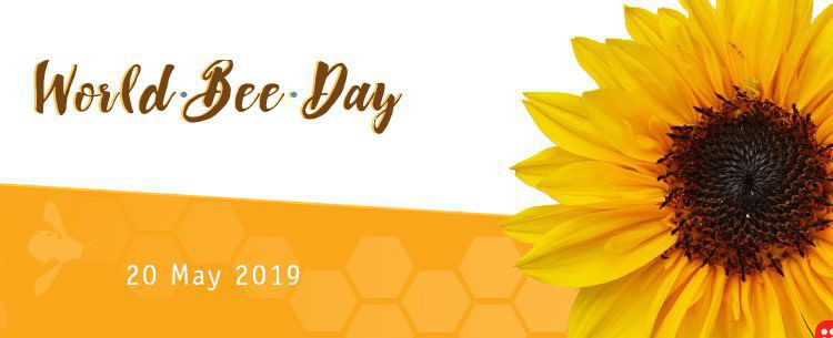 20th May is World Bee Day