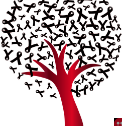 Study Finds That Drugs Check Transmission of HIV