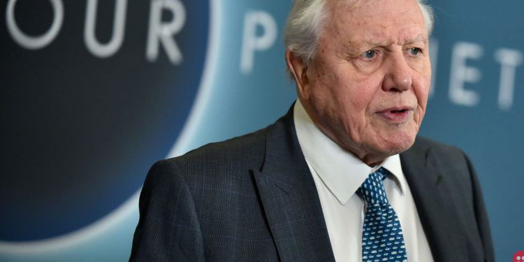 93-year-old David Attenborough strives to save the planet