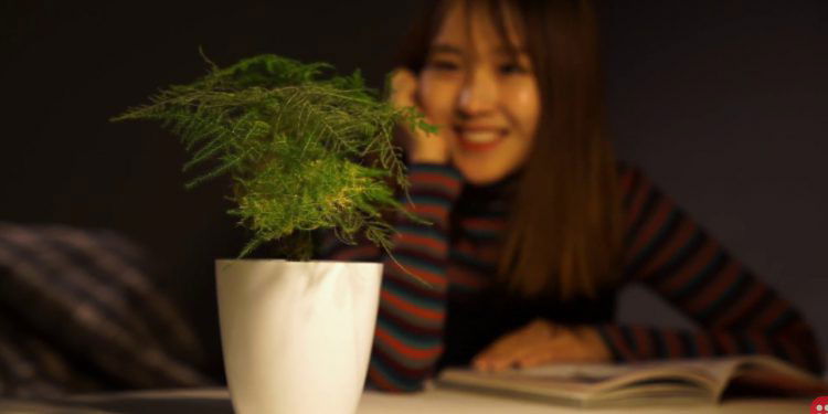 ‘Cyborg Botany’ to Turn Plants into Security Devices