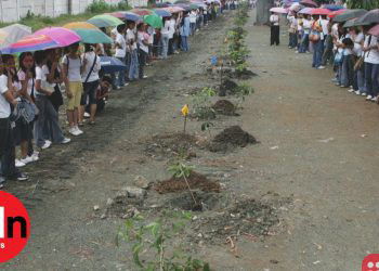 Move towards a Greener planet:Filipino students to plant 10 trees to graduate