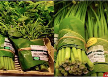 Banana Leaves are the New Packaging Material for Thailand and Vietnam