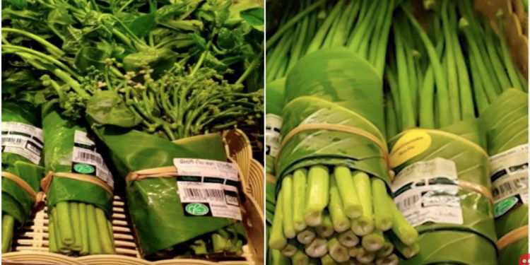 Banana Leaves are the New Packaging Material for Thailand and Vietnam