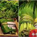 Banana Leaves are the New Packaging Material for Thailand and Vietnam