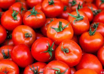 Tomato Skins can help ward off Diabetes