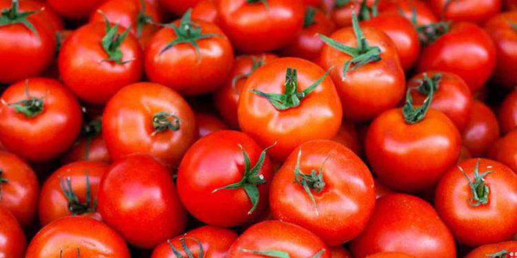 Tomato Skins can help ward off Diabetes