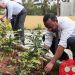 Ethiopia plants 350 million saplings in 12 hours, breaks world record