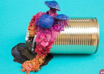 Artist creates environmental awareness one sculpture at a time