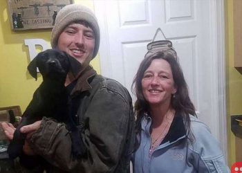 Nick Abbott deaf puppy