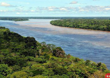 11 Unbelievable facts about the Amazon Rainforest
