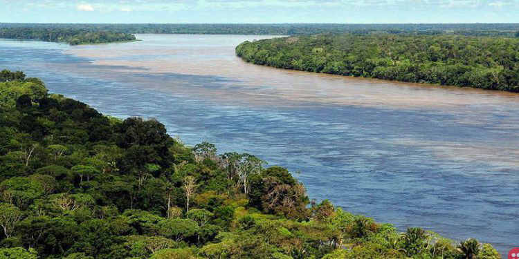 11 Unbelievable facts about the Amazon Rainforest