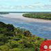 11 Unbelievable facts about the Amazon Rainforest