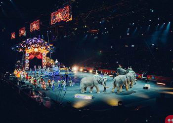 Paris bans use of wild animals in circuses