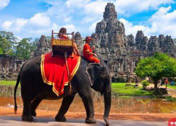 Cambodia to ban elephant rides in Angkor Wat