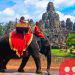 Cambodia to ban elephant rides in Angkor Wat