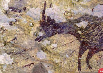 World’s oldest artwork discovered in Indonesia