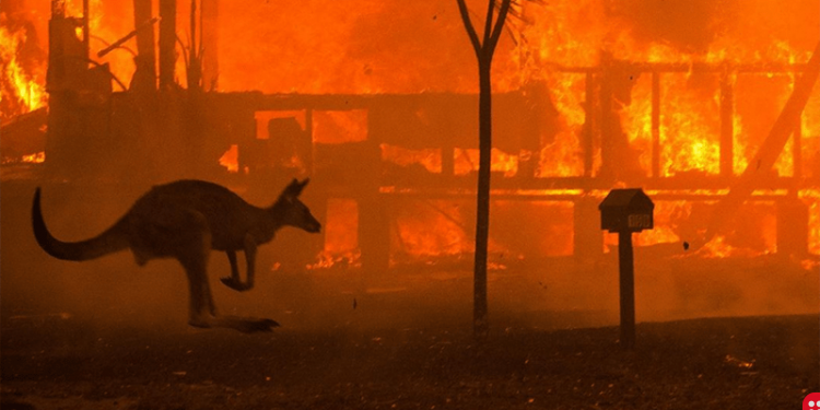 Australia bushfires: Donations pour in from across the world