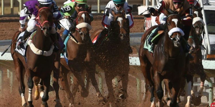 Saudi Cup: At $20 million, it is the world’s richest horse race