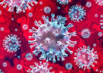 Positive news about the coronavirus outbreak from across the world