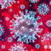 Positive news about the coronavirus outbreak from across the world