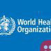 All you need to know about the World Health Organization…