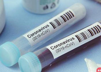 IIT- Delhi team develops affordable COVID-19 test