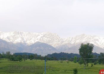Thanks to lower pollution levels due to lockdown, Himalayas visible from India
