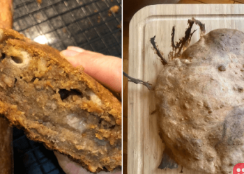 Quarantined people share their epic baking failed attempts!