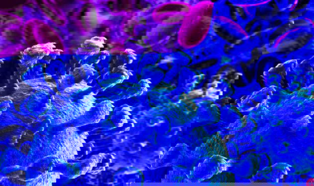 Google pledges $6.5 million to fight coronavirus misinformation