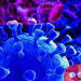 Google pledges $6.5 million to fight coronavirus misinformation